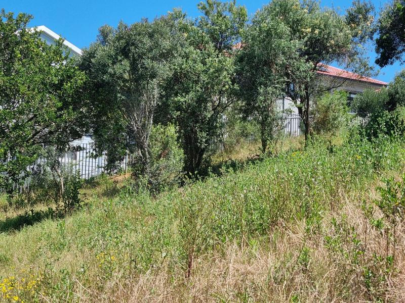 0 Bedroom Property for Sale in Groot Brakrivier Central Western Cape